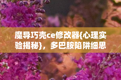 魔导巧壳ce修改器图片
