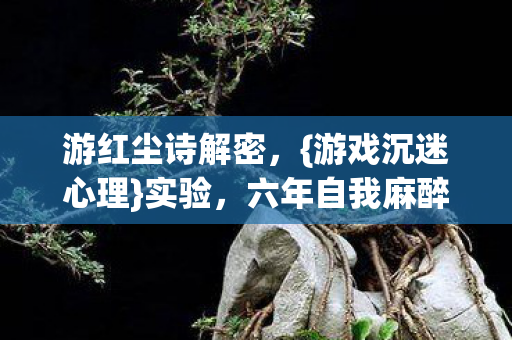 六年自我麻醉真相图片