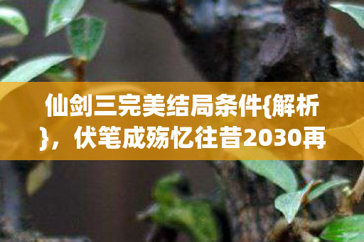 伏笔成殇忆往昔2030再回首图片