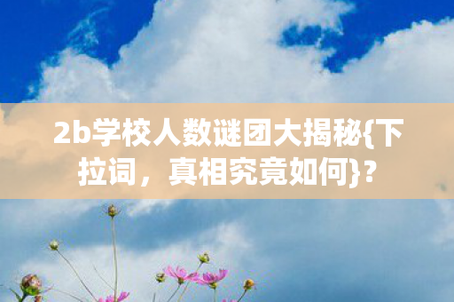 2b学校人数谜团大揭秘图片