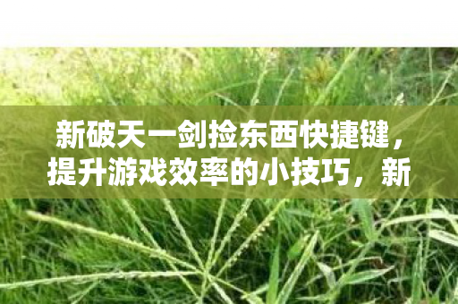 新破天一剑捡东西快捷键,提升游戏效率的小技巧,新破天一剑,掌握捡东西快捷键,轻松提升游戏效率 新破天一剑捡东西快捷键,提升游戏效率的小技巧,新破天一剑,掌握捡东西快捷键,轻松提升游戏效率