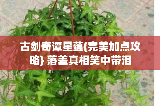 落差真相笑中带泪图片