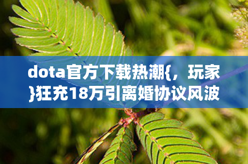 狂充18万引离婚协议风波图片