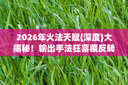 2026年火法天赋图片