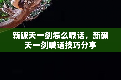 新破天一剑怎么喊话,新破天一剑喊话技巧分享 新破天一剑怎么喊话,新破天一剑喊话技巧分享