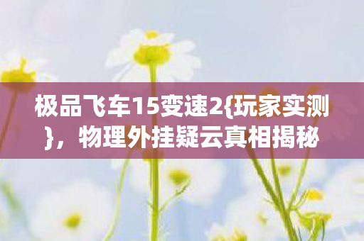 物理外挂疑云真相揭秘图片