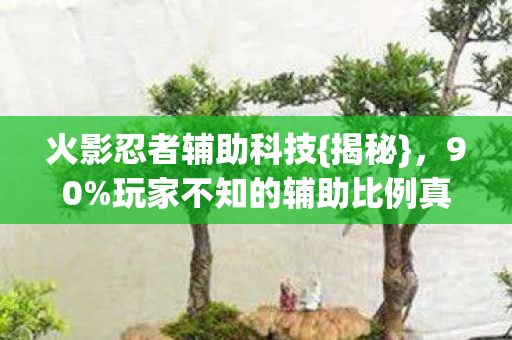 火影忍者辅助科技{揭秘},90%玩家不知的辅助比例真相 火影忍者辅助科技{揭秘},90%玩家不知的辅助比例真相