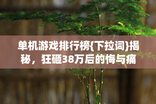 狂砸38万后的悔与痛图片
