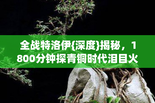 1800分钟探青铜时代泪目火种图片