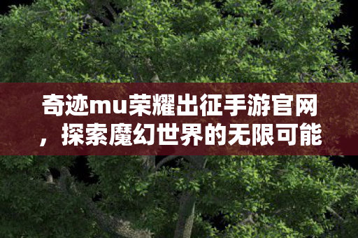 奇迹mu荣耀出征手游官网图片