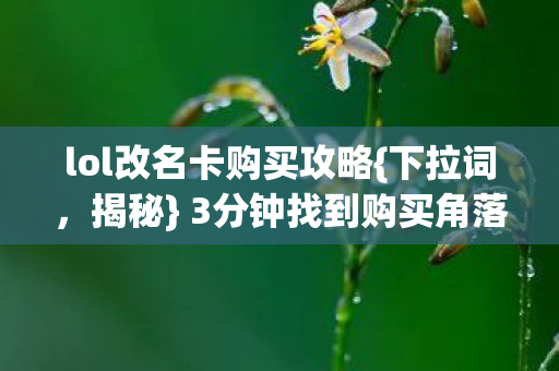 lol改名卡购买攻略{下拉词，揭秘} 3分钟找到购买角落