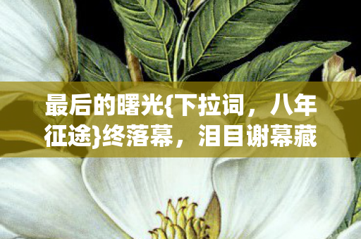 最后的曙光{下拉词，八年征途}终落幕，泪目谢幕藏青春
