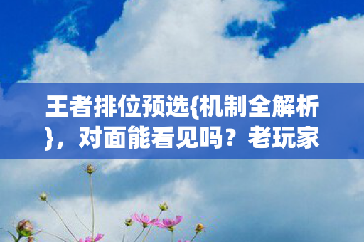 王者排位预选图片