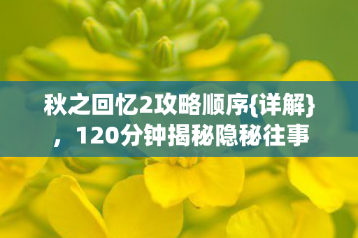 120分钟揭秘隐秘往事图片