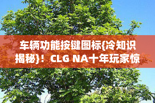 CLG NA十年玩家惊觉幻觉图片