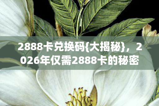 2026年仅需2888卡的秘密图片