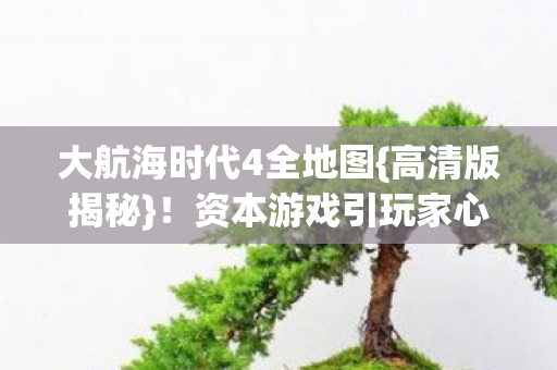 大航海时代4全地图图片