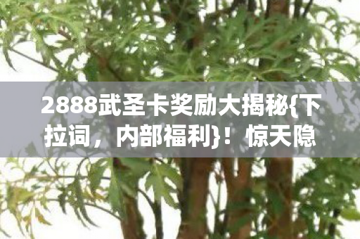 2888武圣卡奖励大揭秘图片