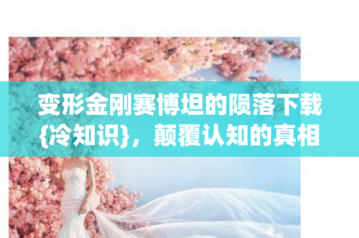变形金刚赛博坦的陨落下载图片