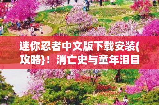 迷你忍者中文版下载安装图片