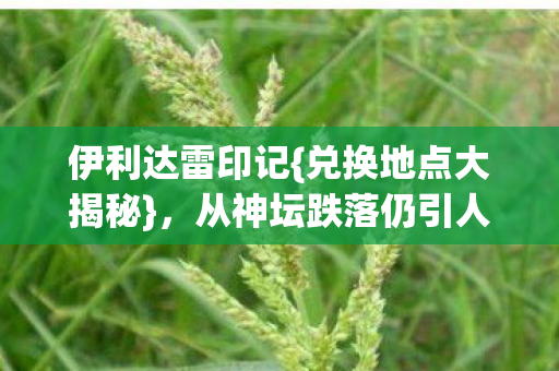 从神坛跌落仍引人关注图片
