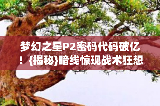 梦幻之星P2密码代码破亿图片