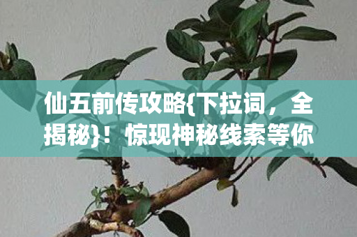 惊现神秘线索等你探真相图片