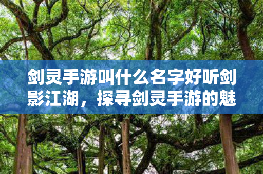 剑灵手游叫什么名字好听剑影江湖，探寻剑灵手游的魅力与独特之处，剑影江湖，探寻剑灵手游的独特魅力与精彩之处