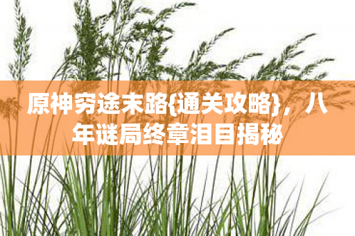 八年谜局终章泪目揭秘图片