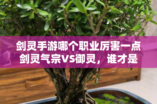 剑灵手游哪个职业厉害一点剑灵气宗VS御灵,谁才是手游中的王者?剑灵气宗VS御灵,谁才是手游中的王者? 剑灵手游哪个职业厉害一点剑灵气宗VS御灵,谁才是手游中的王者?剑灵气宗VS御灵,谁才是手游中的王者?
