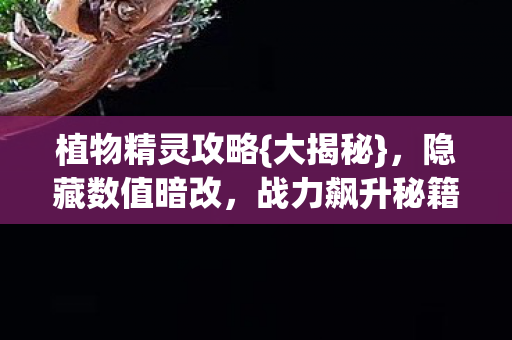 植物精灵攻略图片