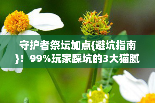 守护者祭坛加点{避坑指南}!99%玩家踩坑的3大猫腻 守护者祭坛加点{避坑指南}!99%玩家踩坑的3大猫腻