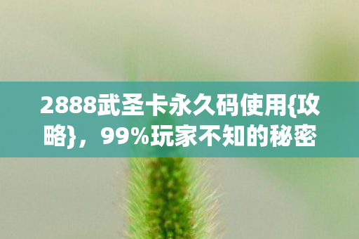 2888武圣卡永久码使用图片