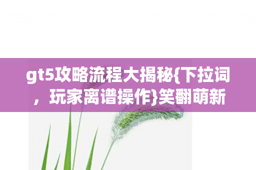 gt5攻略流程大揭秘图片