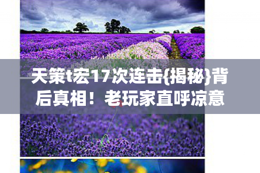 天策t宏17次连击图片