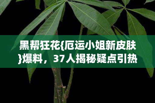 37人揭秘疑点引热议图片