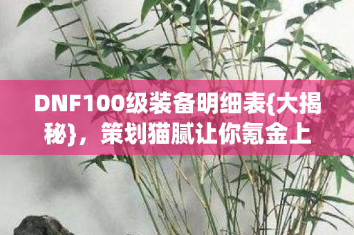 DNF100级装备明细表图片