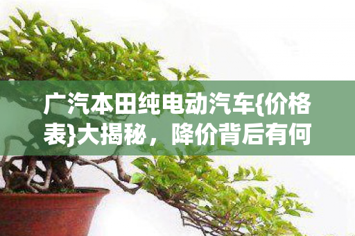 广汽本田纯电动汽车{价格表}大揭秘，降价背后有何隐情？