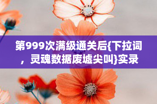 第999次满级通关后{下拉词，灵魂数据废墟尖叫}实录