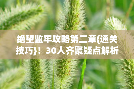 绝望监牢攻略第二章图片