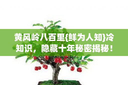 黄风岭八百里{鲜为人知}冷知识,隐藏十年秘密揭秘! 黄风岭八百里{鲜为人知}冷知识,隐藏十年秘密揭秘!