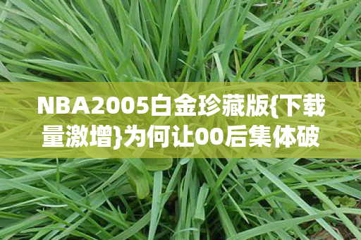 NBA2005白金珍藏版{下载量激增}为何让00后集体破防? NBA2005白金珍藏版{下载量激增}为何让00后集体破防?