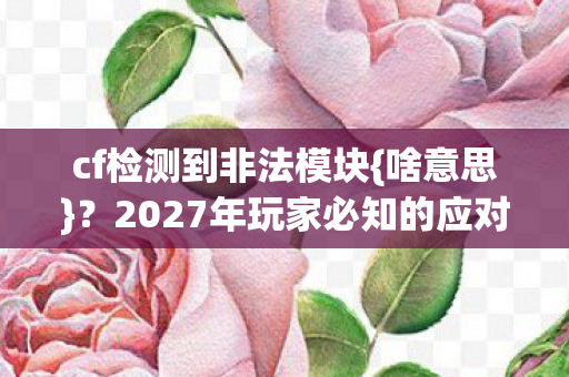 2027年玩家必知的应对策略图片