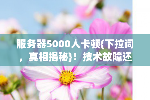 服务器5000人卡顿图片