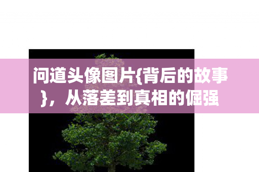从落差到真相的倔强图片