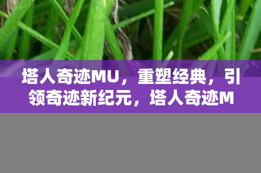 引领奇迹新纪元图片