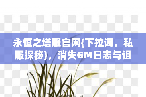 消失GM日志与诅咒之火图片