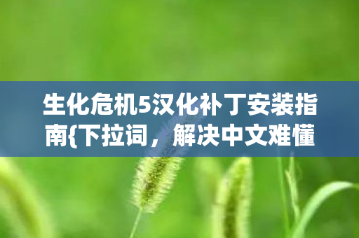 生化危机5汉化补丁安装指南图片
