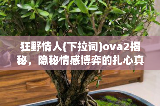 隐秘情感博弈的扎心真相图片