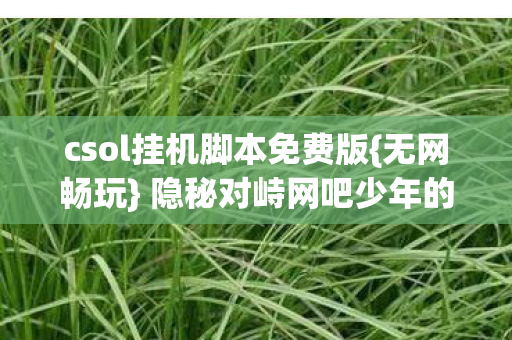 csol挂机脚本免费版图片